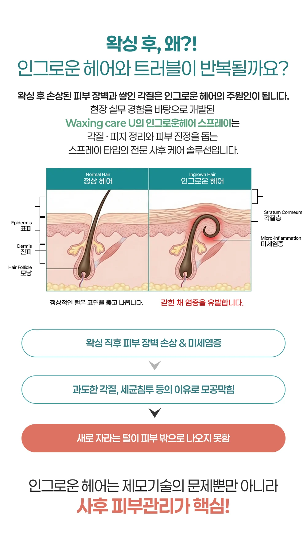Waxing Care U 상세페이지 상세 이미지 3